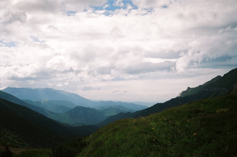 Jak chleb