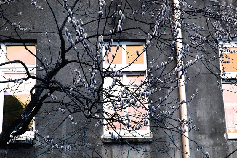 Wrocław